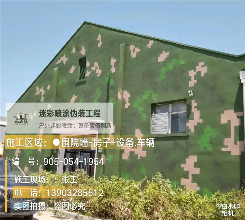 武隆外墙数码迷彩漆施工报价清单（100㎡标准墙面测算）